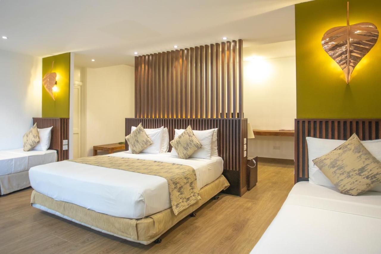 Hotel Birds Park Polgahawela Wadakada Zewnętrze zdjęcie
