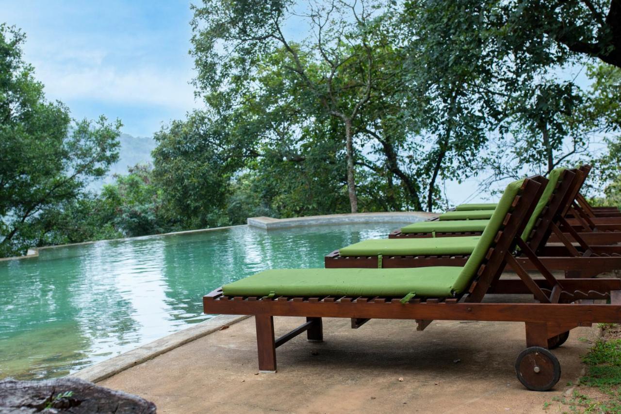 Hotel Birds Park Polgahawela Wadakada Zewnętrze zdjęcie